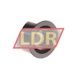 SKF RSTO17 rulman resim 2
