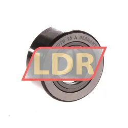 SKF NUTR25A
