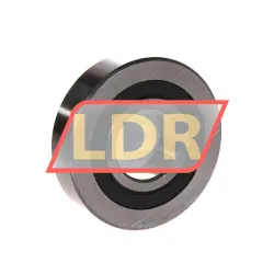 NBS LR205NPP rulman resim 2