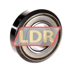 INA LR209KDDU AH01 rulman resim 2