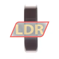 INA LR204NPPU rulman resim 3