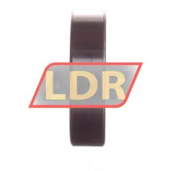 INA LR203-2RSR rulman resim 2