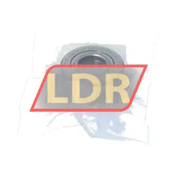 SKF PWTR17-2RS