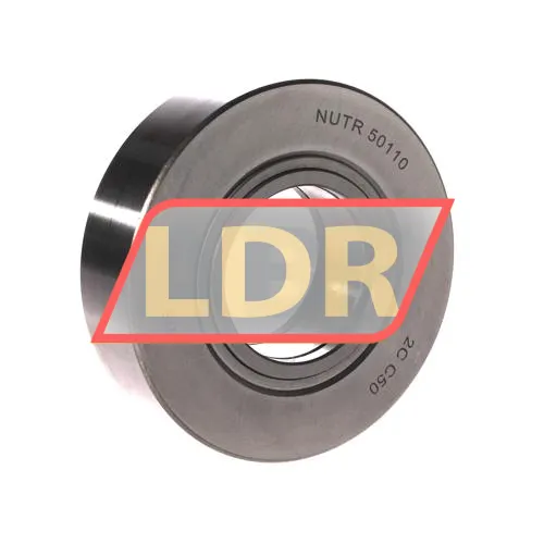 NIS NUTR50110