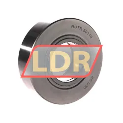 NIS NUTR50110