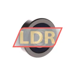 ZEN LR203NPP GL rulman resim 2