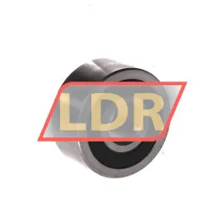 NBS LR5201NPPU rulman resim 2