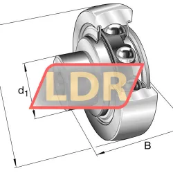 INA ZL204-DRS rulman resim 4