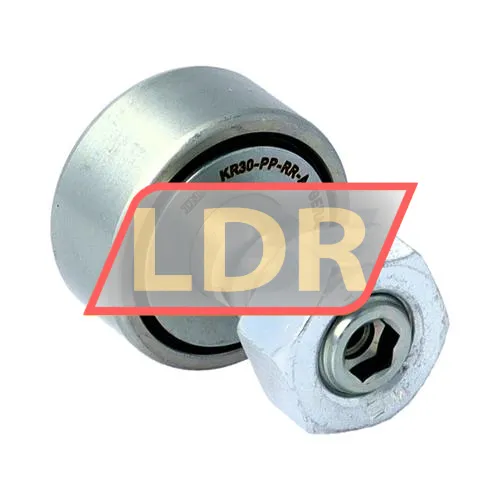 INA KR30-PP-RR-A-NMT