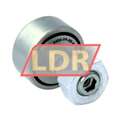 INA KR30-PP-RR-A-NMT