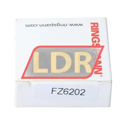 Ringspann FZ6202 rulman resim 3
