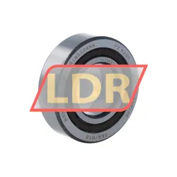 Ringspann FZ6205