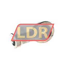 INA GIR10-DO rulman resim 2