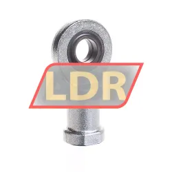 INA GIL20-DO-2RS