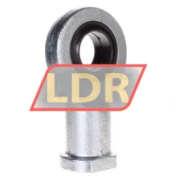 Elges GIR60-DO-2RS