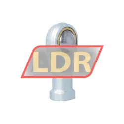 Elges GIKR22-PW rulman resim 2