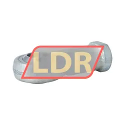 STW GISW25 rulman resim 2