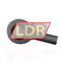 Elges GAR30-DO-2RS