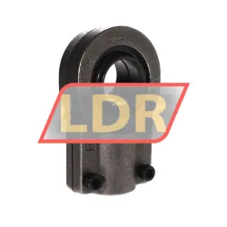 SKF SIQG50ES