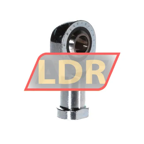 SKF SIKB12F/VZ019