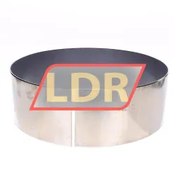 INA EGB300100-E40-Y rulman resim 2
