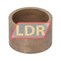 SKF PSM253020A51