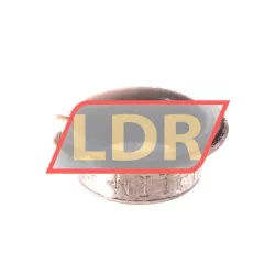 Neutral SF11-F12070 rulman resim 2