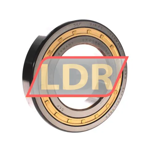 SKF PCM125130100E