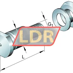 INA LFZ20X67-A1 rulman resim 5