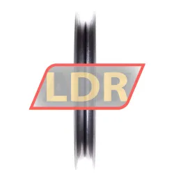 INA RSRD20-160-L0 rulman resim 2