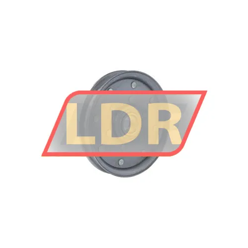 INA RSRD25-150-L0