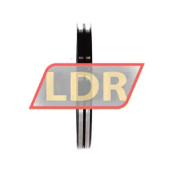 INA SX011814-A rulman resim 2