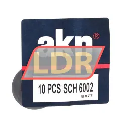AKN SCH6002 rulman resim 2