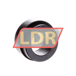 SKF SMSW24LP-ASTR