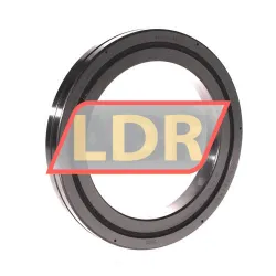 THK RB10016C0
