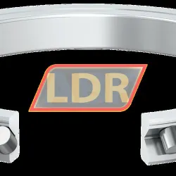 INA SX011818-RR-A-VSP