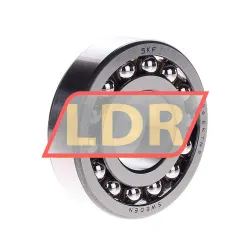 SKF 1306EKTN9