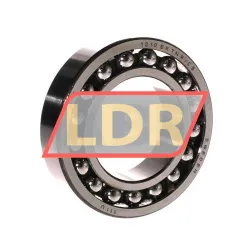SKF 1210EKTN9/C3