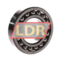 SKF 1209EKTN9/C3