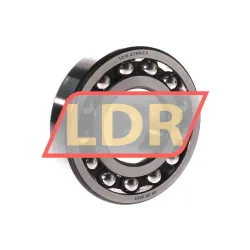 SKF 1310ETN9/C3