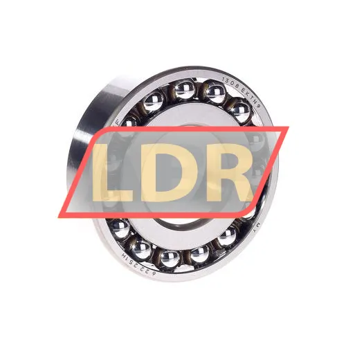 SKF 1308EKTN9