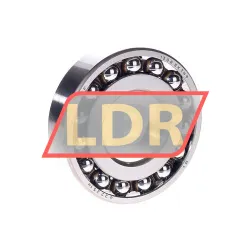 SKF 1308EKTN9