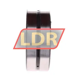 SKF 2309EKTN9 rulman resim 3