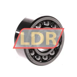 SKF 2306K