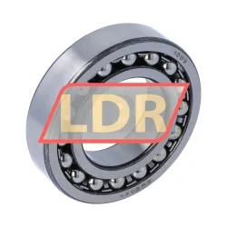 SKF 1209