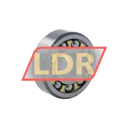 SKF 1301EM/P62