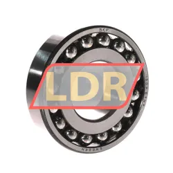 SKF 1309ETN9