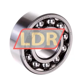 SKF 2309ETN9