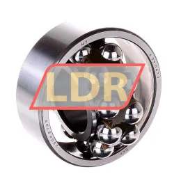 SKF 2309ETN9 rulman resim 2