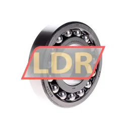 SKF 1309K